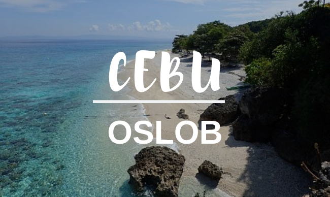 cg academy oslob day tour